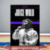 Se88ccc27085e4fc7a9316e0442e2417ar - Juice Wrld Store